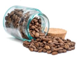 4ZrdYhVmULjz2G9aadaXdlG8BS7whu6S250_250-1