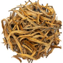 8S6m0STNwaJyqZqDj59eTFqiBSJ8cbWQ250_250-1