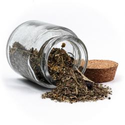 C6AyDlO4IfiBetig02CMTT6ZQv0xkm5f250_250-1