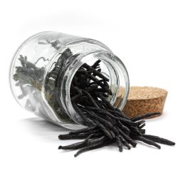 MN7e7bXNWQLbzDI06psqRN5bU3YmPhaY250_250-1