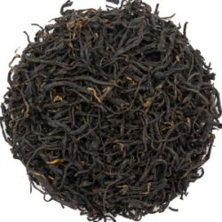 Sdv2QvxFzHjhMWSeqHPpEWgjjTqzWtsm250_250-1