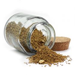 WOL84IoK2VsLEKBVrTh27XNlLybQJ91m250_250-1