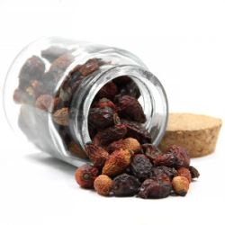 bLP4ejsF94vAO0cFhpVWYUMtLnqAqirW250_250-1