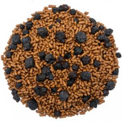 bd2TIPy7EoDOEdMjXP3fe10fYL9Ip6T8250_250-1