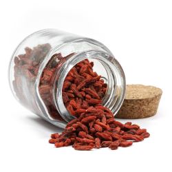 cIxoXkR4kU0Oioxt2aSND1ijvUKCdBG1250_250-1