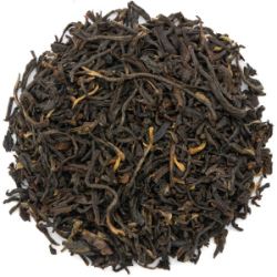 ehu1DLx9khYjrvyKO7mdn3tipfWX0Arz250_250-1