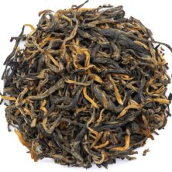 BD1U6gN4RL1ZnnE1tHqazffUjCvwgLZe250_250-1