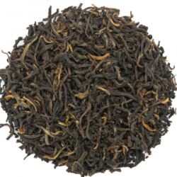 D0NKZiBkml7bxPUcpFcs2vivJFFLVZSP250_250-1