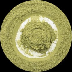 KfN8VAyxXXOowHHMnqZ33RsC6dvRwBhI250_250-1