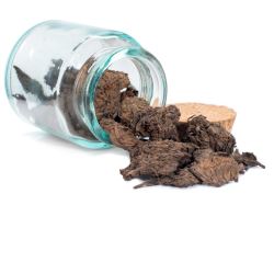 ox3jbQaljT5fWhbDUhYMSWo8J3doXiBB-scaled250_250-1