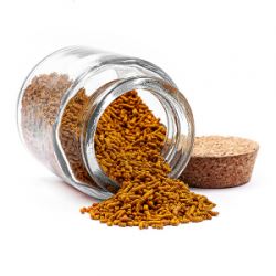 pAJ9gQaoVQur6jDqwG6scFtdMLbNByX7250_250-1