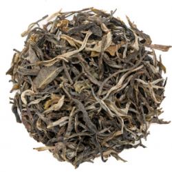 vcqg5zhDkkmll1nR05WPj5wIH4xsUnVm250_250-1